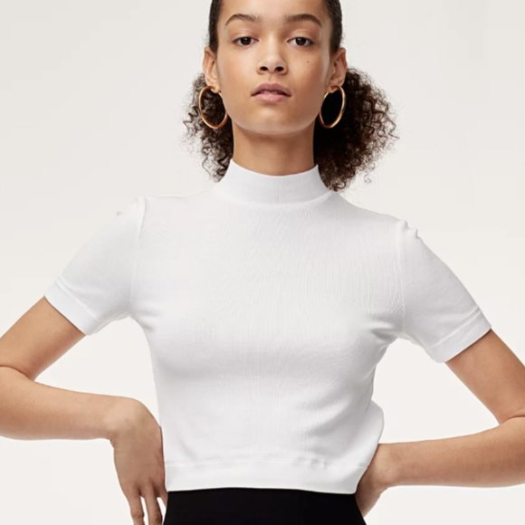 Aritzia Tops - Babaton Aritzia Gonzalo Ribbed Mock Turtleneck T-Shirt Top Cropped Fitted Sz XS